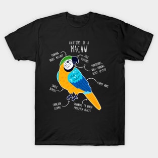 Blue and Gold Macaw Parrot Anatomy T-Shirt